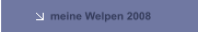 meine Welpen 2008