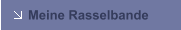 Meine Rasselbande