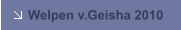 Welpen v.Geisha 2010