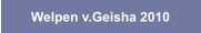 Welpen v.Geisha 2010